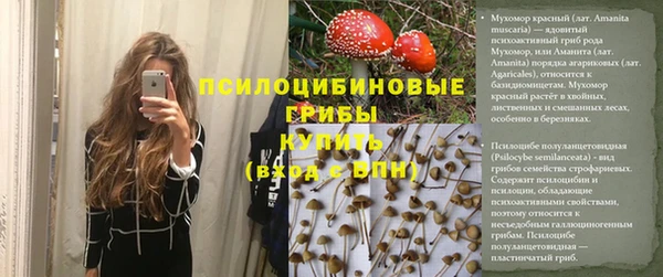сатива Балабаново