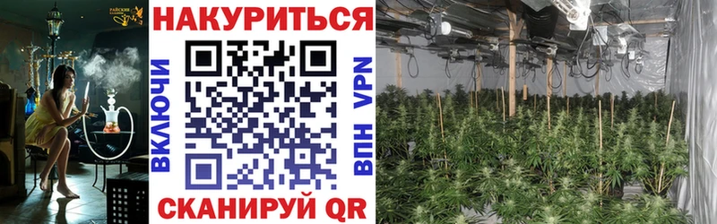 Бошки Шишки Bruce Banner Шагонар