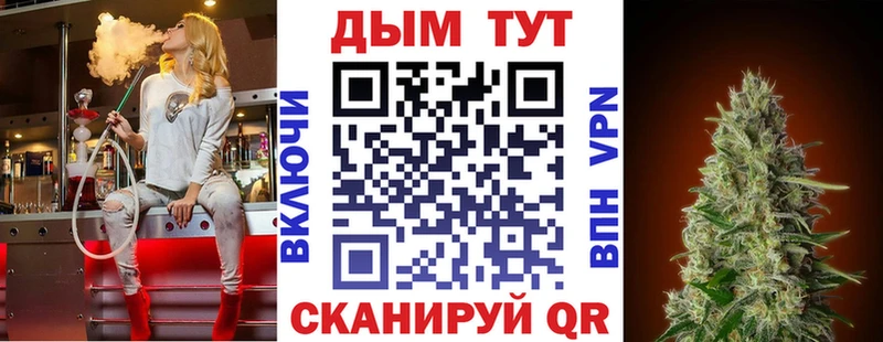Купить  Шагонар  Каннабис сатива 